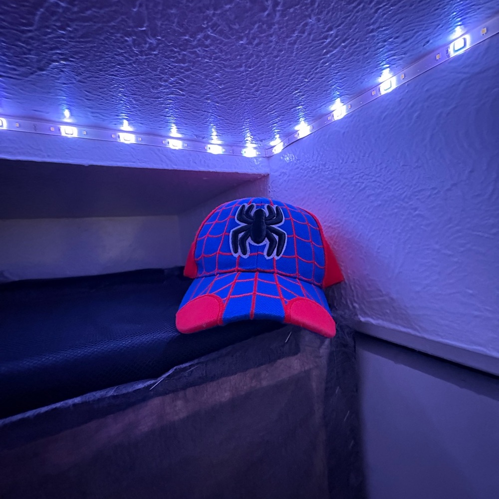 Spider-Man Adjustable Hat